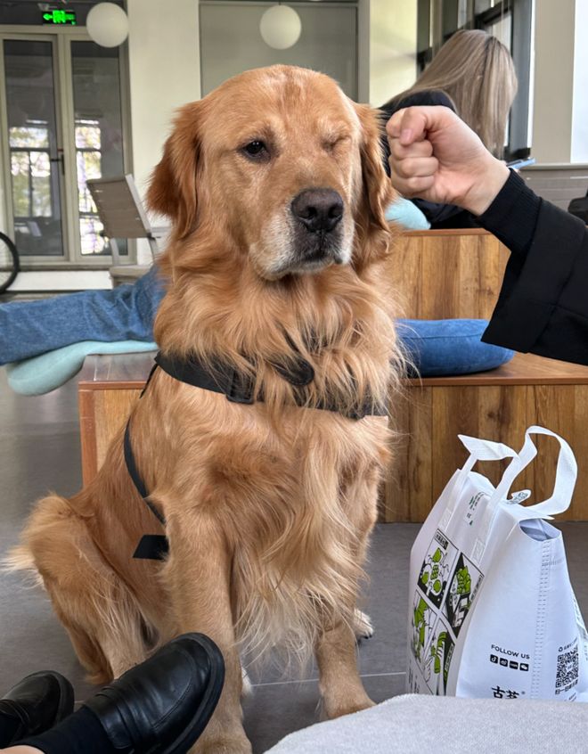 體育博彩:为了春节能安心躺平,我把所有App都用AI魔改了一遍。。。