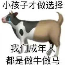 體育博彩:为了春节能安心躺平,我把所有App都用AI魔改了一遍。。。